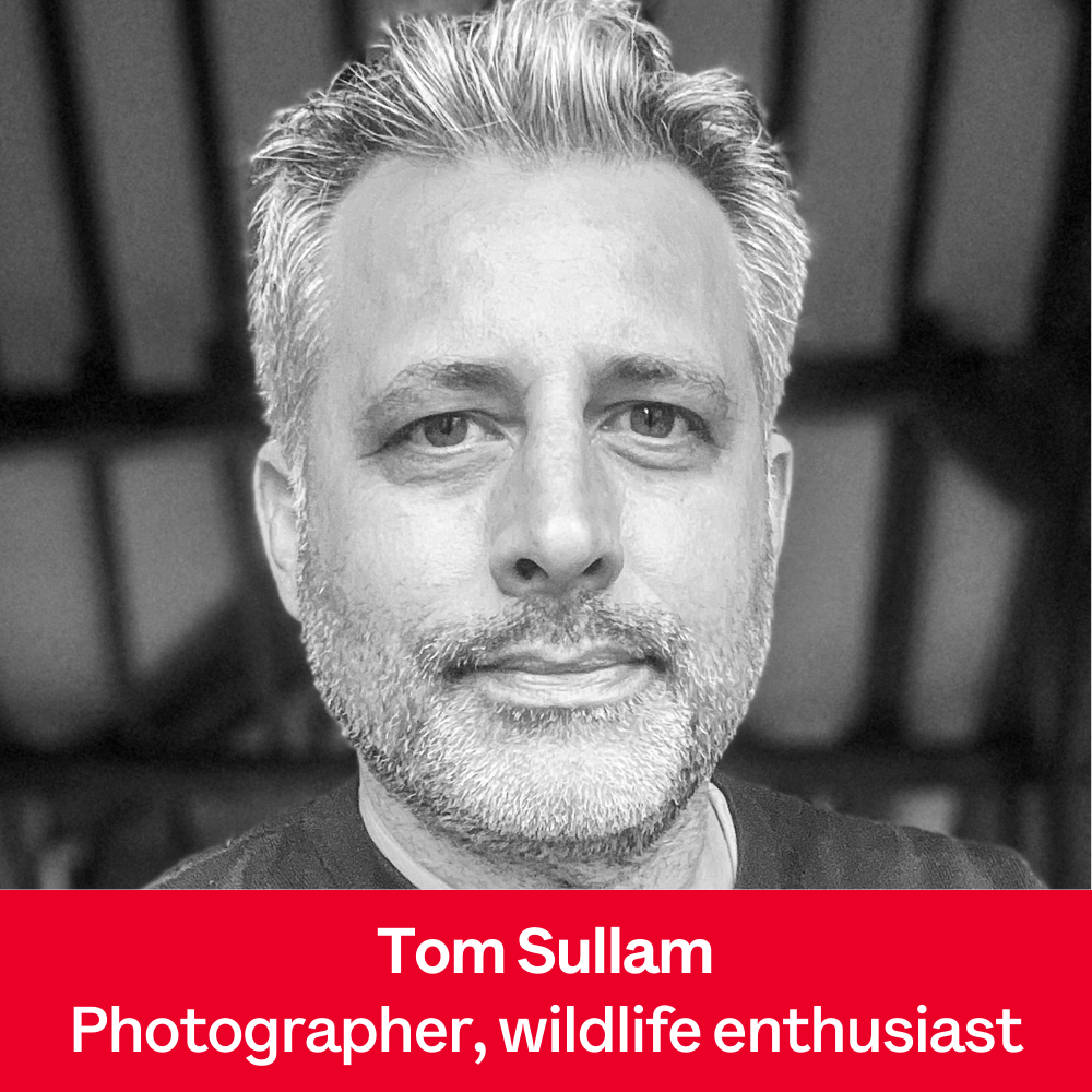 Tom Sullam